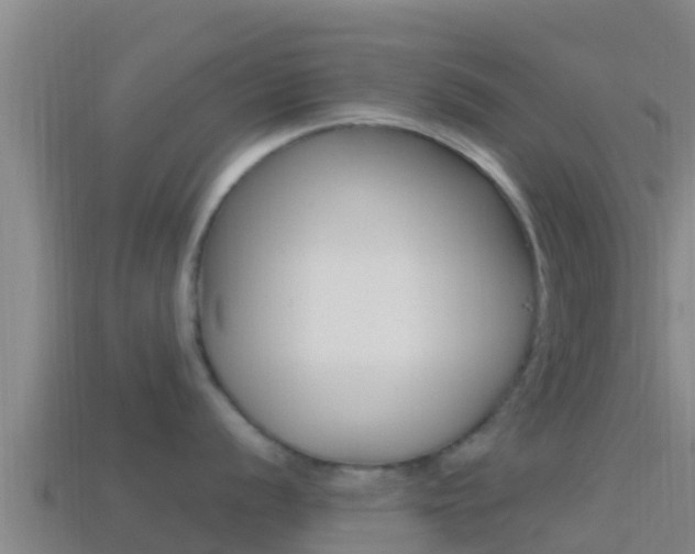 X0000114421056200910161049