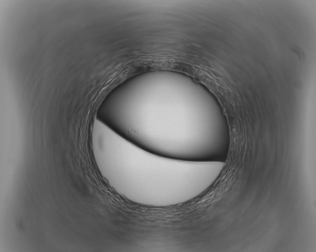 X0000114421057200910161048