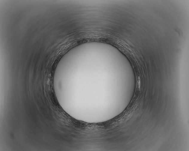 X0000114421059200910161048