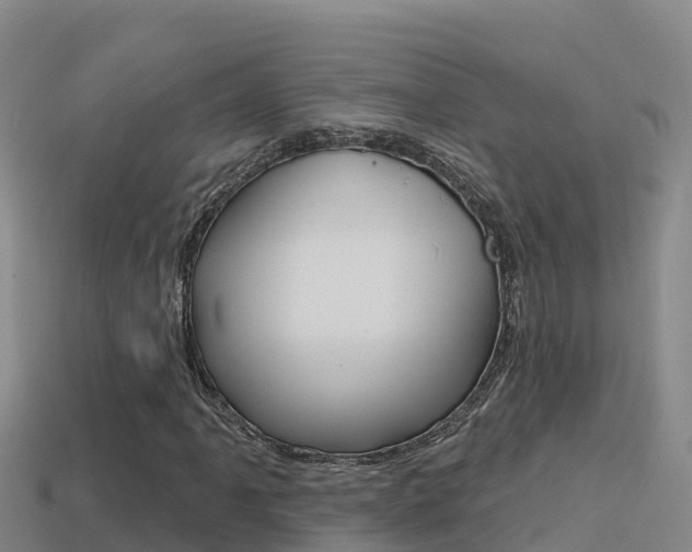X0000114421061200910161048