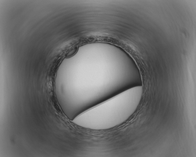 X0000114421062200910161048