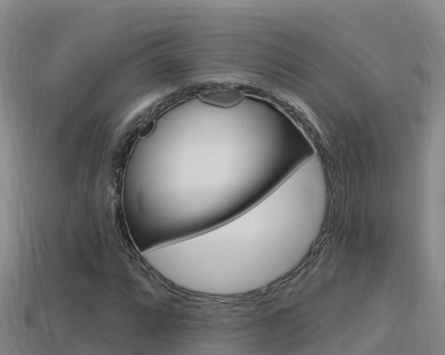 X0000114421064200910161048