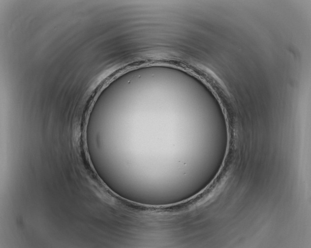 X0000114421065200910161048