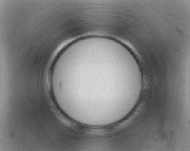 X0000114421078200910161048