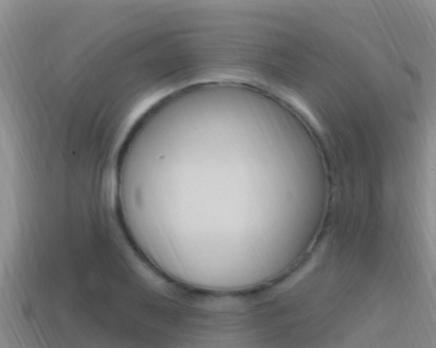X0000114421079200910161048