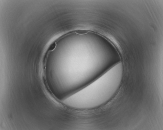 X0000114421080200910161048