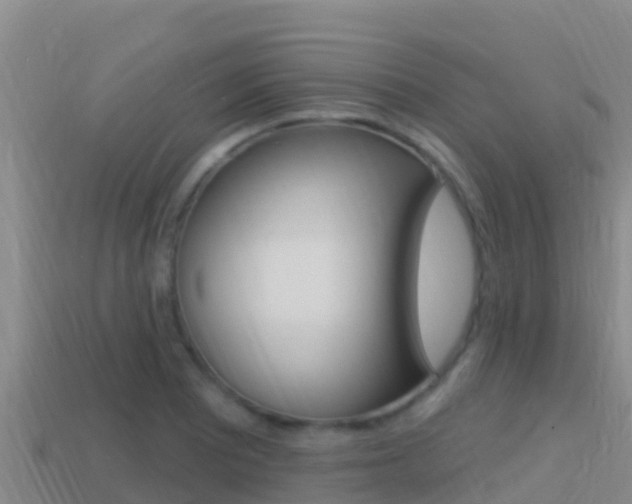 X0000114421081200910161048