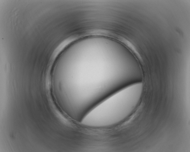 X0000114421082200910161048