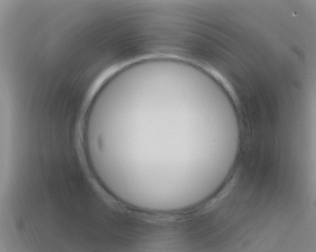X0000114421085200910161048