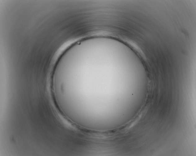X0000114421086200910161048
