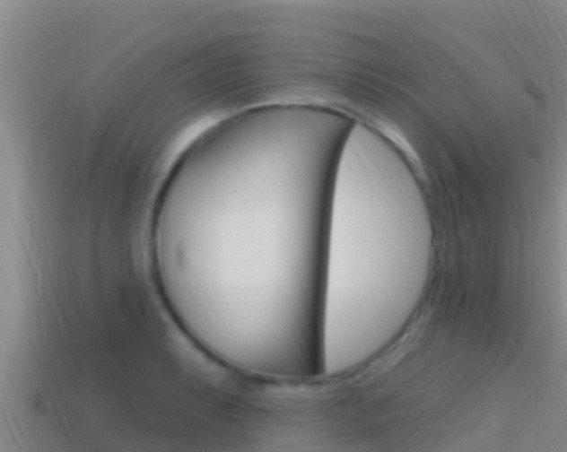 X0000114421087200910161048