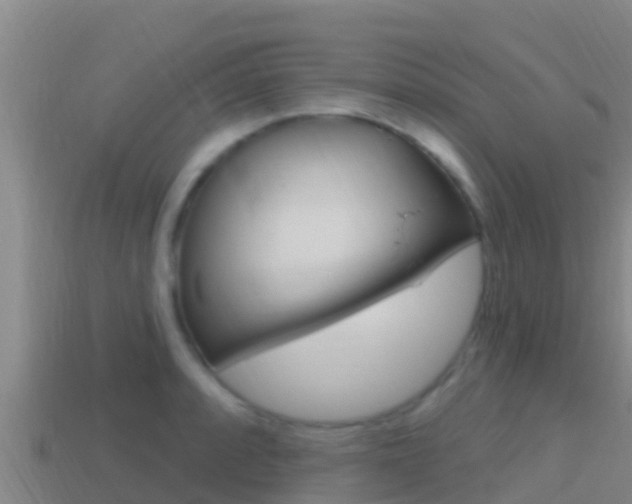 X0000114421088200910161048
