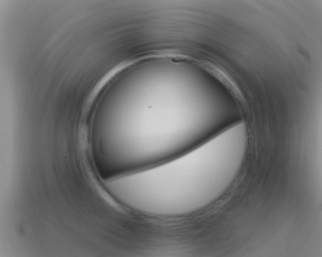 X0000114421092200910161048
