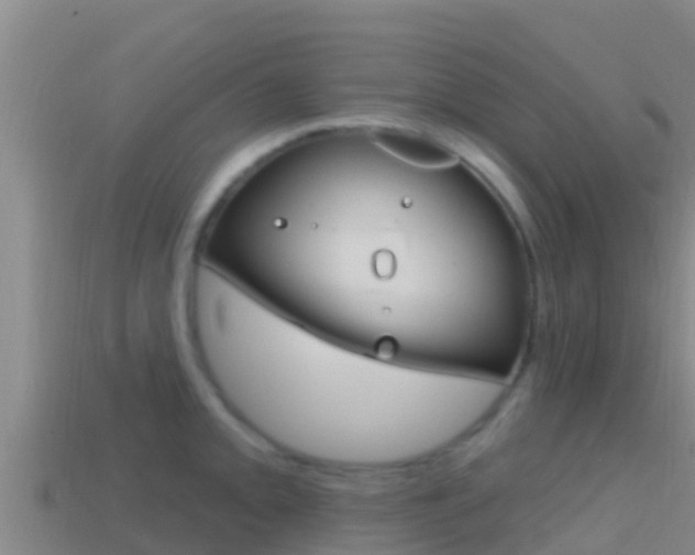 X0000114421093200910161048