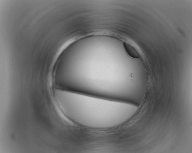 X0000114421095200910161048