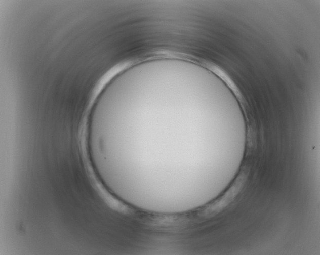 X0000114421098200910161048