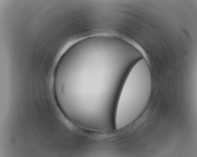 X0000114421099200910161048