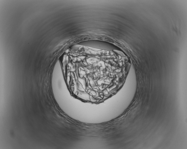 X0000114421110200910161047