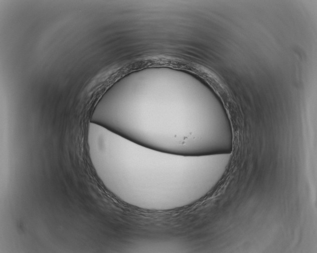 X0000114421111200910161047