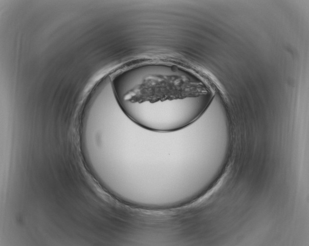 X0000114421114200910161047