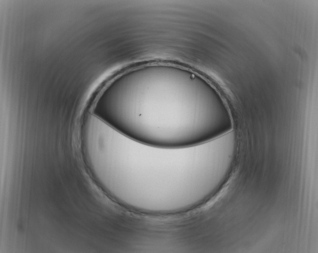 X0000114421118200910161047