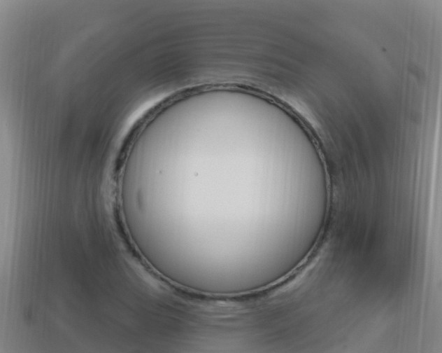 X0000114421119200910161047