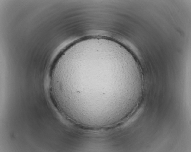 X0000114421125200910161047