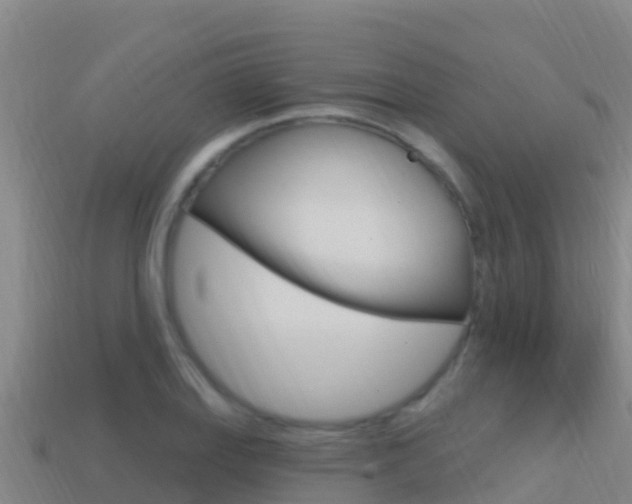 X0000114421127200910161047
