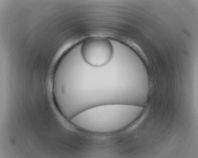 X0000114421130200910161047
