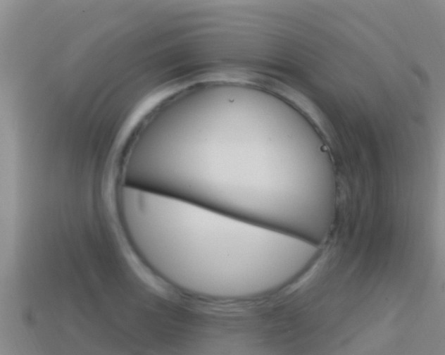 X0000114421131200910161047