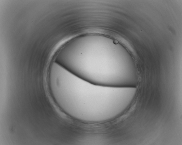X0000114421133200910161047