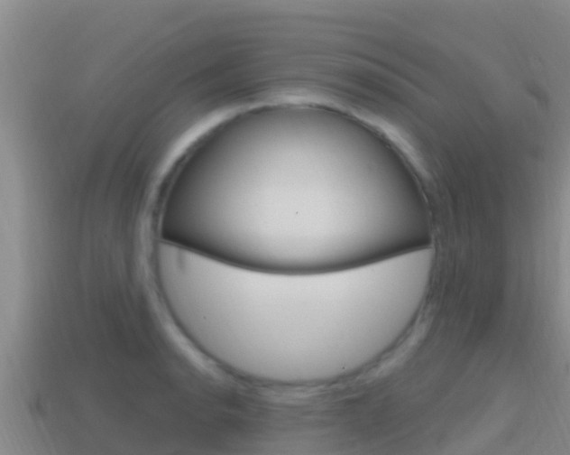 X0000114421134200910161047