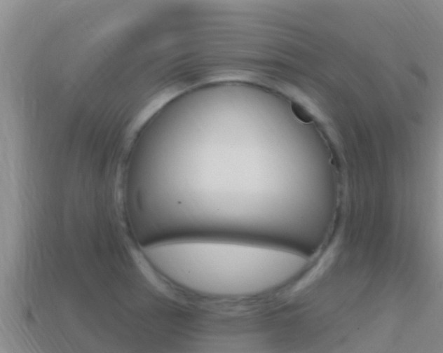 X0000114421137200910161047