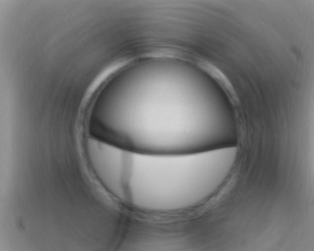 X0000114421138200910161047