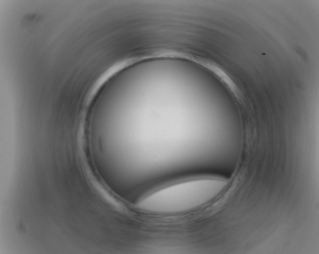 X0000114421142200910161047