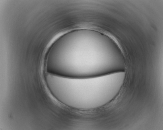 X0000114421147200910161048