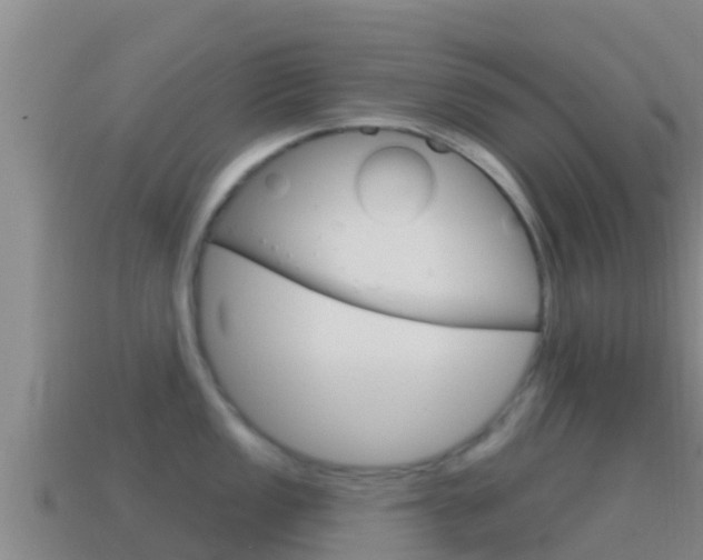 X0000114421149200910161048