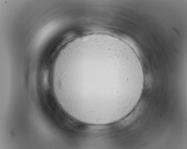 X0000114421150200910161048