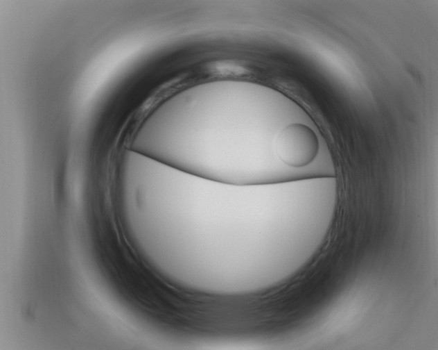 X0000114421151200910161048