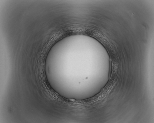 X0000114421153200910161047