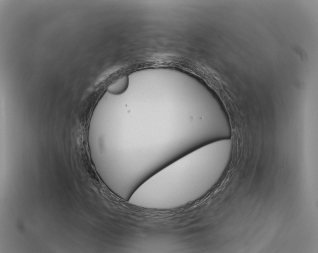 X0000114421158200910161047