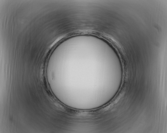 X0000114421162200910161047