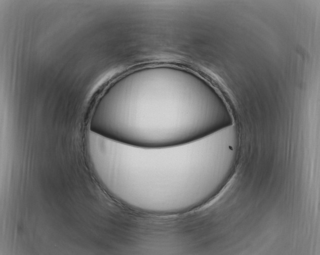 X0000114421163200910161047