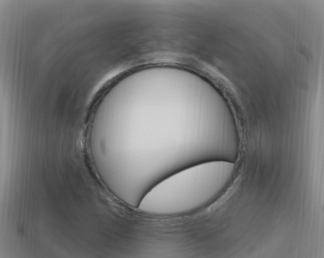 X0000114421166200910161047
