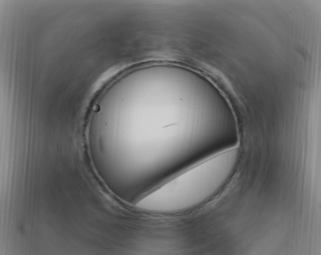 X0000114421168200910161047