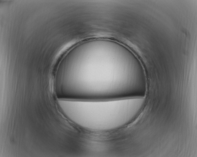 X0000114421171200910161047