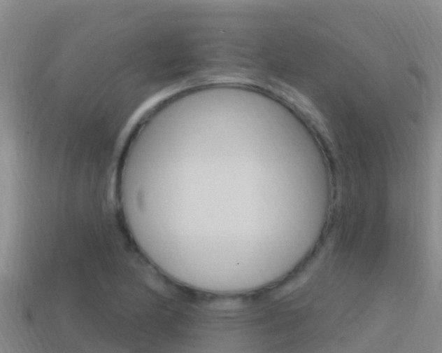 X0000114421174200910161047
