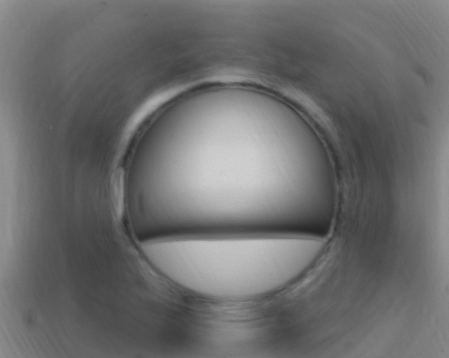 X0000114421175200910161047
