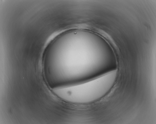 X0000114421176200910161047