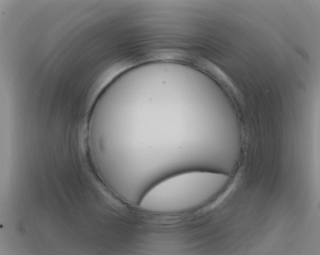 X0000114421178200910161046